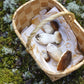 LAPUAN - SIENIMETSA MUSHROOMS - HAND TOWEL. WHITE+DARK GREY