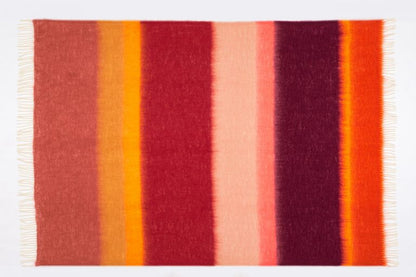 EZCARAY - COUVERTURE MATISSE. M-16